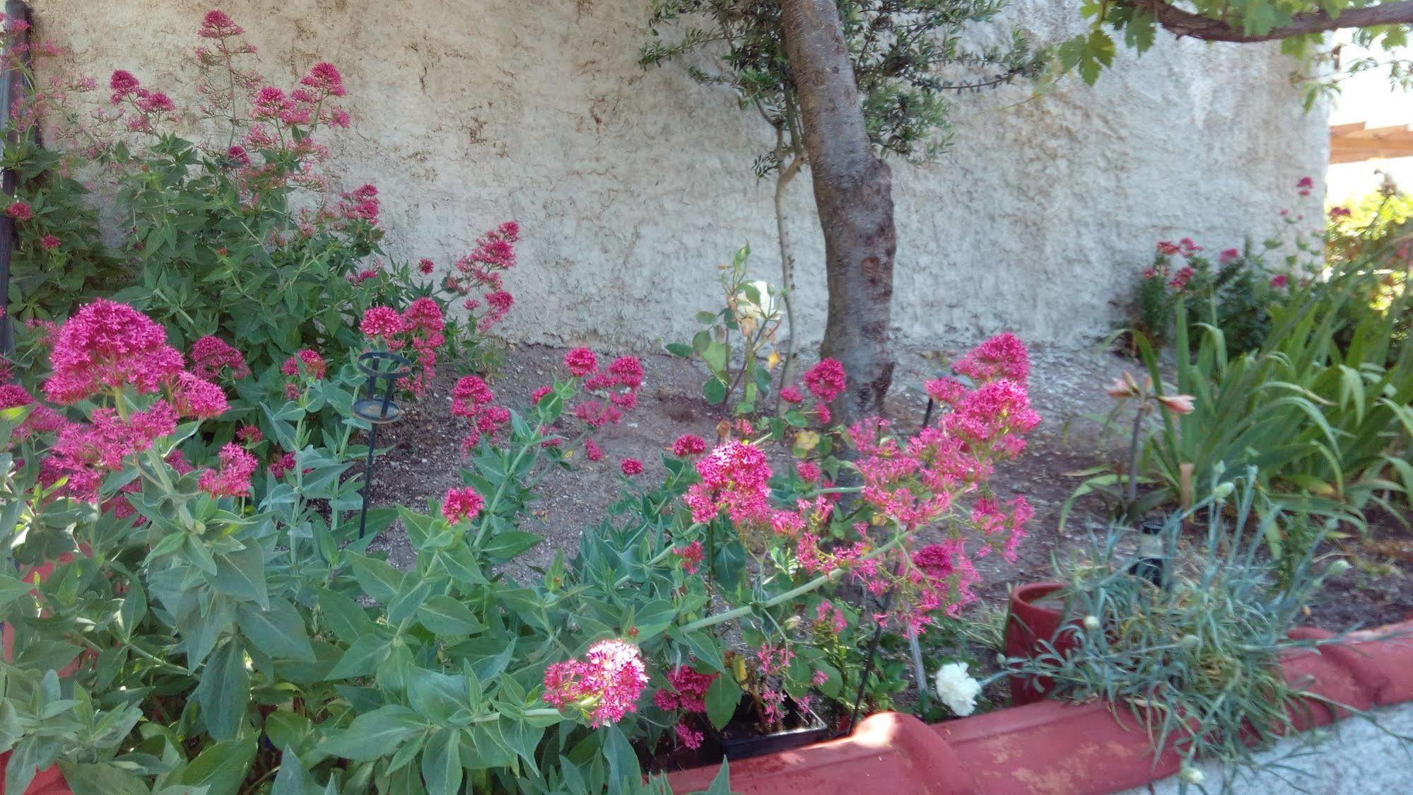 الشقق الفندقية أناكسوسفي  Anessis Cosmos المظهر الخارجي الصورة